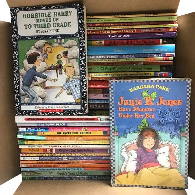 Chapter Book Box (ages 7-12)