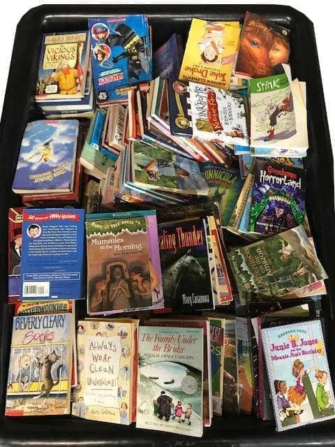 Chapter Book Box (ages 7-12)