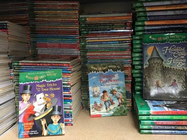 Magic Treehouse Chapter Books