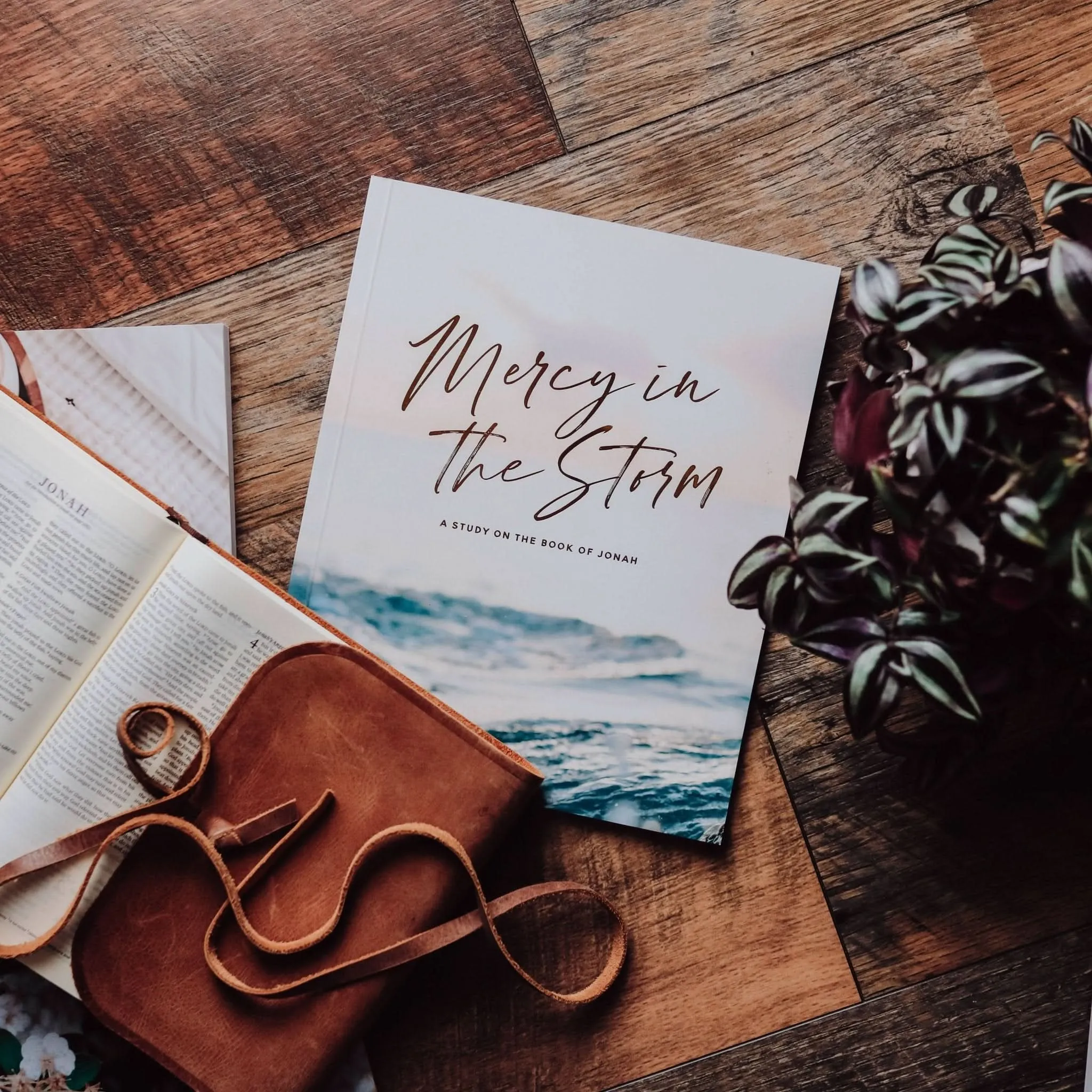 Mercy in the Storm - a Study on the Book of Jonah