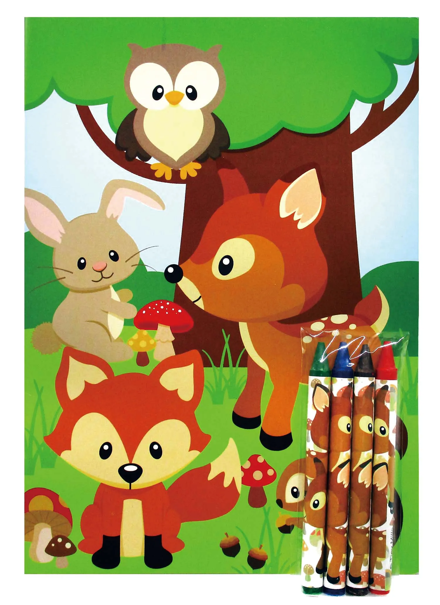 Woodland Animals Coloring Books - Set of 6 or 12