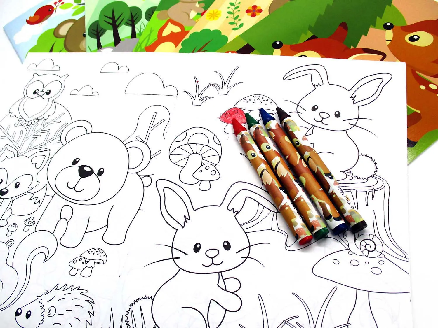 Woodland Animals Coloring Books - Set of 6 or 12